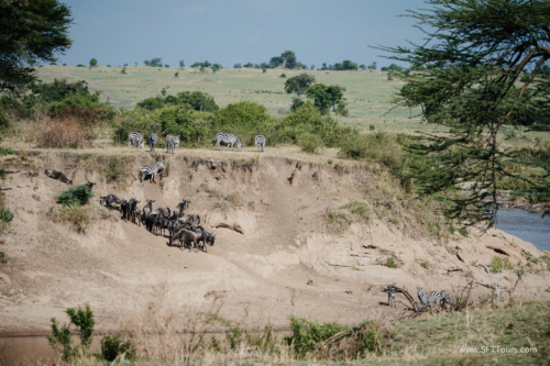 TZ Value 21 Sep 2024 Tatiana S-359