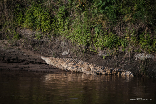 TZ Value 21 Sep 2024 Tatiana S-362