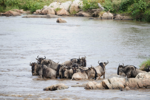 TZ Value 21 Sep 2024 Tatiana S-385