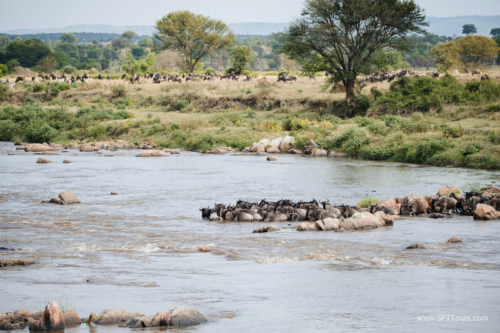 TZ Value 21 Sep 2024 Tatiana S-386