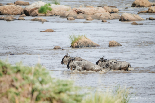 TZ Value 21 Sep 2024 Tatiana S-389