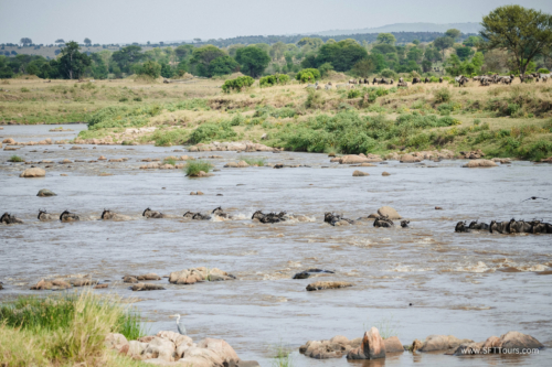 TZ Value 21 Sep 2024 Tatiana S-390