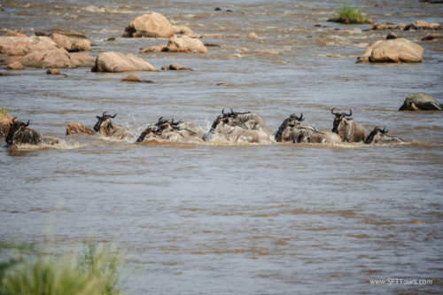 TZ Value 21 Sep 2024 Tatiana S-399