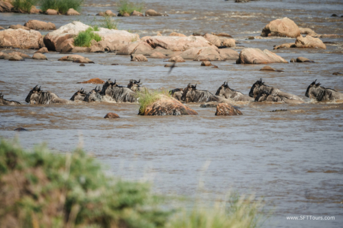 TZ Value 21 Sep 2024 Tatiana S-400