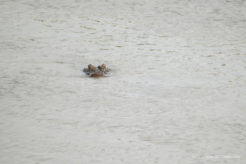 TZ Value 21 Sep 2024 Tatiana S-409