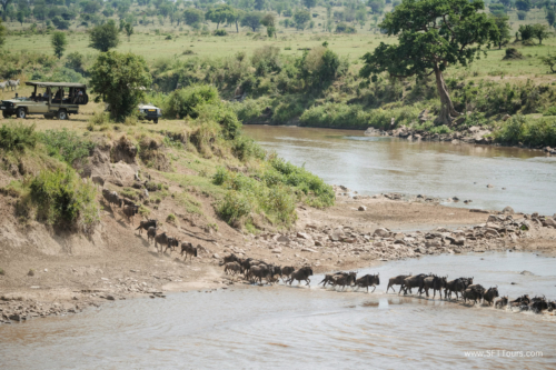 TZ Value 21 Sep 2024 Tatiana S-419