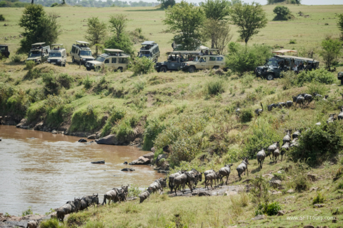 TZ Value 21 Sep 2024 Tatiana S-421