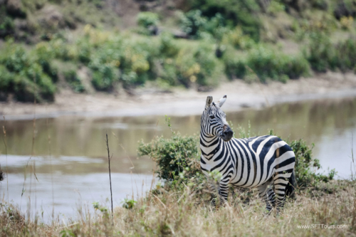 TZ Value 21 Sep 2024 Tatiana S-433