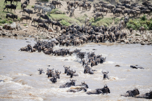 TZ Value 21 Sep 2024 Tatiana S-434