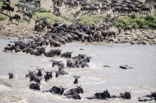 TZ Value 21 Sep 2024 Tatiana S-435