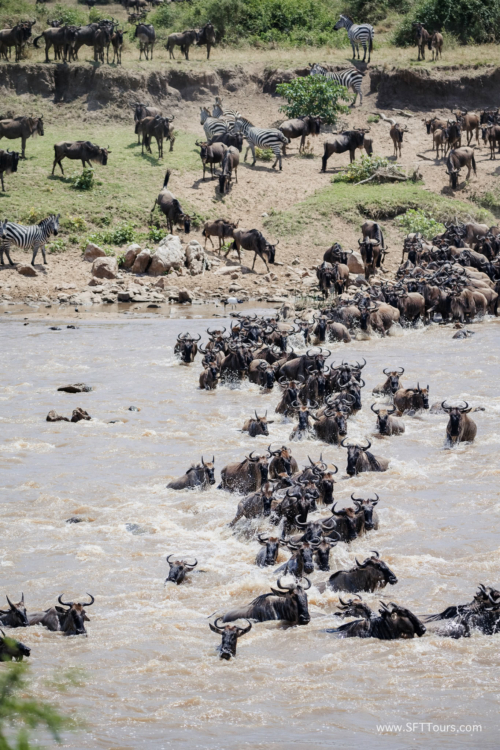 TZ Value 21 Sep 2024 Tatiana S-436