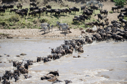 TZ Value 21 Sep 2024 Tatiana S-439