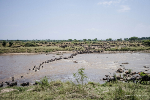 TZ Value 21 Sep 2024 Tatiana S-440