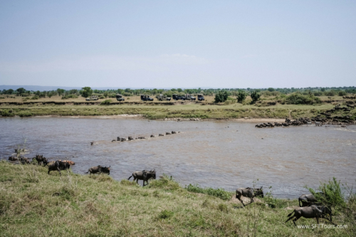 TZ Value 21 Sep 2024 Tatiana S-447