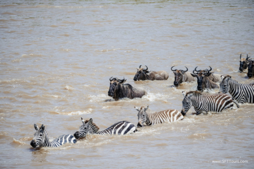 TZ Value 21 Sep 2024 Tatiana S-451