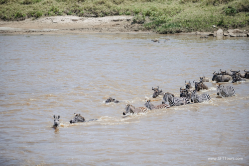 TZ Value 21 Sep 2024 Tatiana S-452