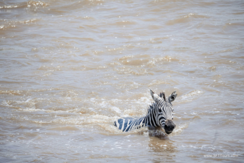 TZ Value 21 Sep 2024 Tatiana S-456