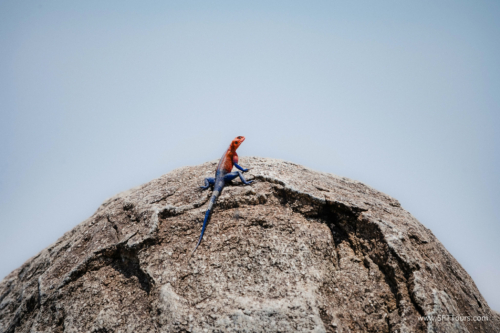 TZ Value 21 Sep 2024 Tatiana S-471