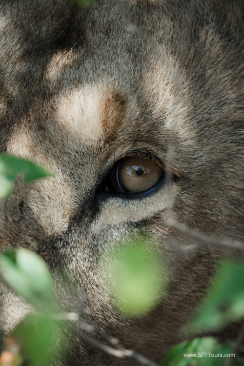 TZ Value 21 Sep 2024 Tatiana S-481