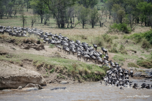 TZ Value 21 Sep 2024 Tatiana S-484