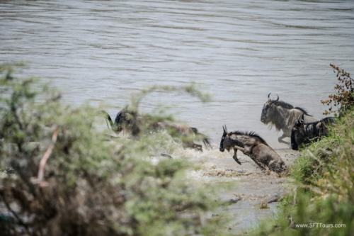 TZ Value 21 Sep 2024 Tatiana S-486