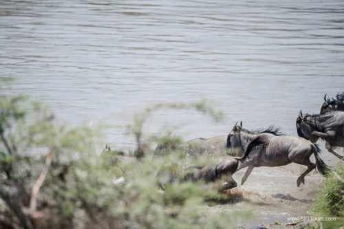 TZ Value 21 Sep 2024 Tatiana S-489