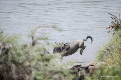 TZ Value 21 Sep 2024 Tatiana S-491