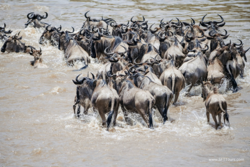 TZ Value 21 Sep 2024 Tatiana S-492