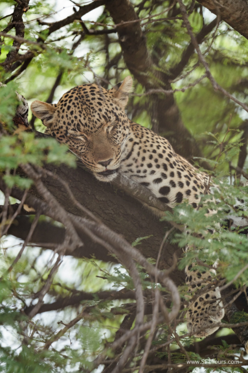 TZ Value 21 Sep 2024 Tatiana S-513