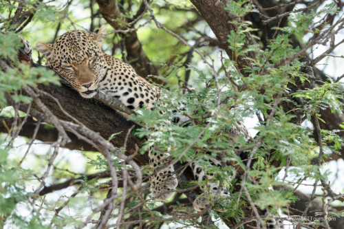 TZ Value 21 Sep 2024 Tatiana S-514