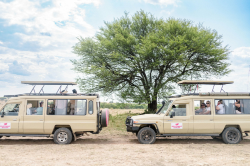 TZ Value 21 Sep 2024 Tatiana S-522