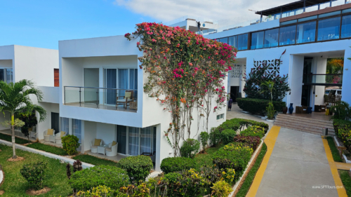 TZ Value 7 Sep 2024 Small-255