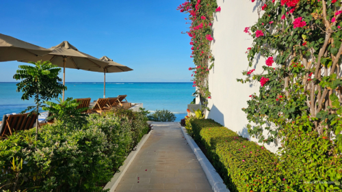 TZ Value 7 Sep 2024 Small-257