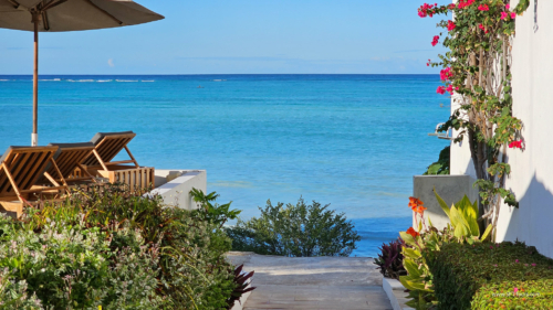 TZ Value 7 Sep 2024 Small-258