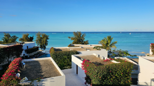 TZ Value 7 Sep 2024 Small-259