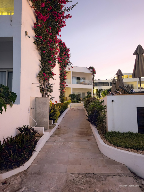 TZ Value 7 Sep 2024 Small-261