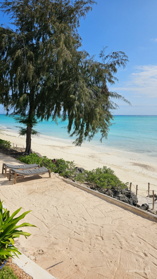 TZ Value 7 Sep 2024 Small-270