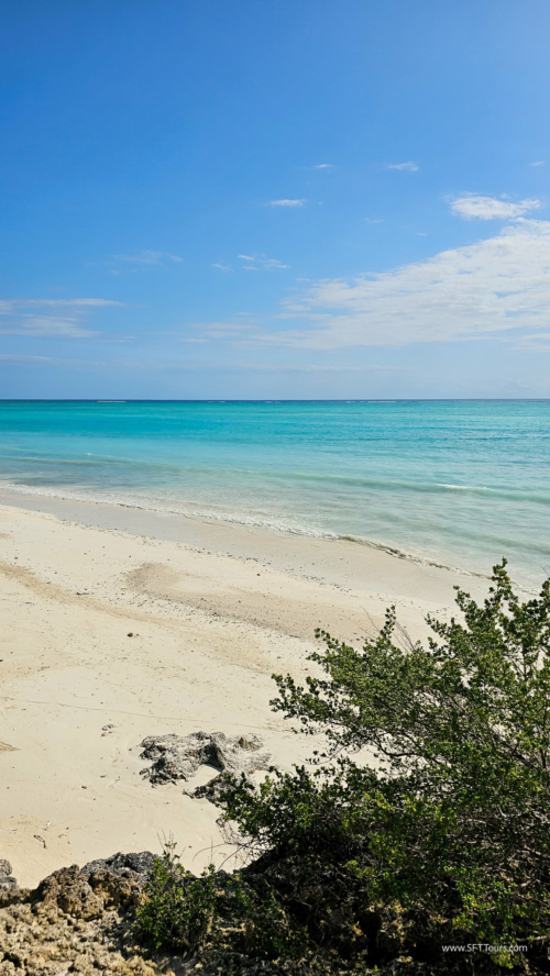 TZ Value 7 Sep 2024 Small-274