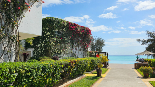 TZ Value 7 Sep 2024 Small-280