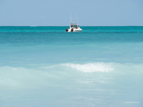 TZ Value 7 Sep 2024 Small-281