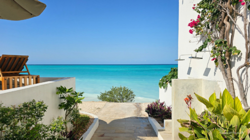 TZ Value 7 Sep 2024 Small-285