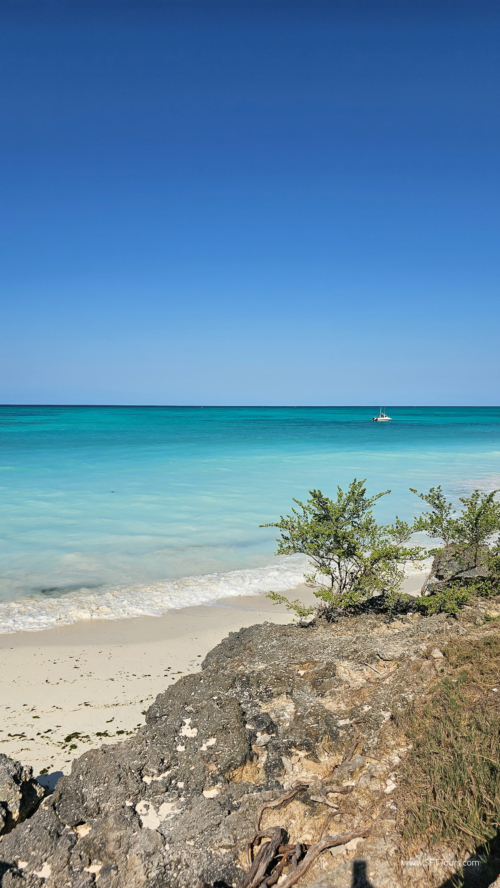 TZ Value 7 Sep 2024 Small-286