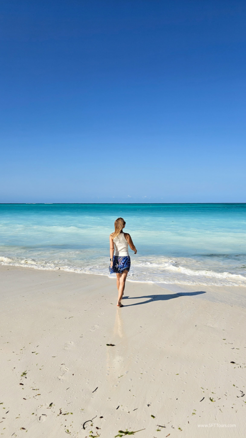 TZ Value 7 Sep 2024 Small-289