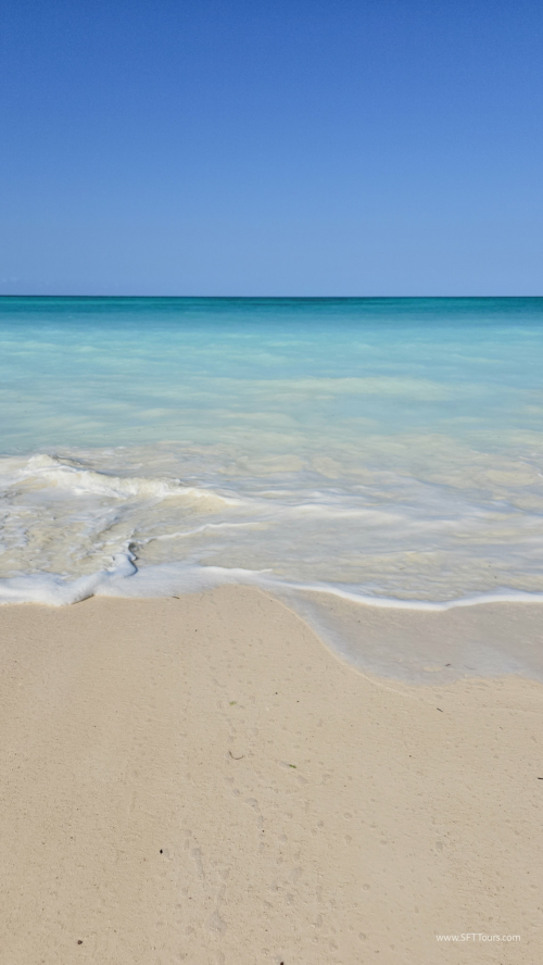 TZ Value 7 Sep 2024 Small-295