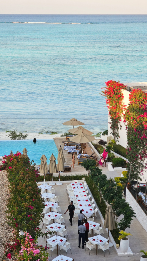 TZ Value 7 Sep 2024 Small-299