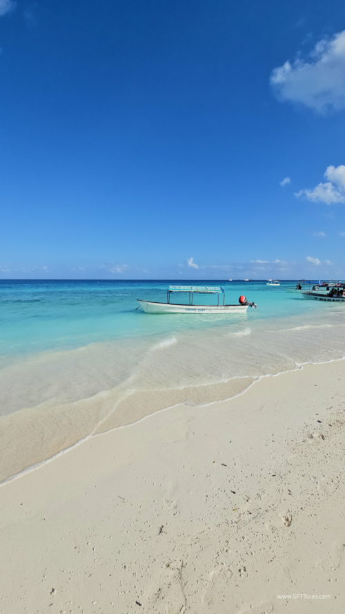 TZ Value 7 Sep 2024 Small-307