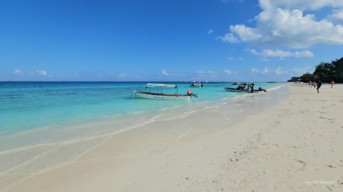 TZ Value 7 Sep 2024 Small-308