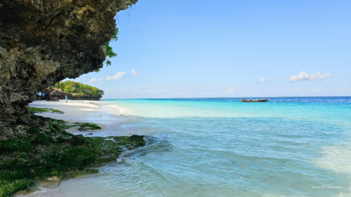 TZ Value 7 Sep 2024 Small-309