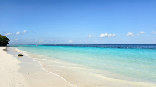 TZ Value 7 Sep 2024 Small-310