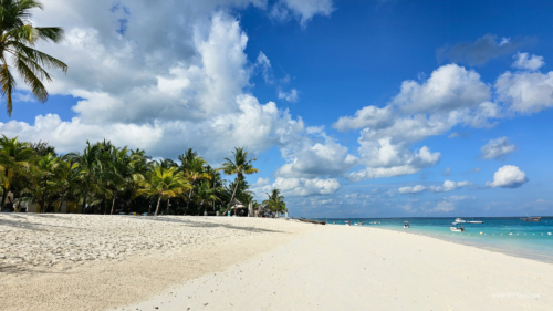 TZ Value 7 Sep 2024 Small-311